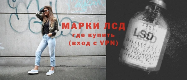 стафф Арсеньев