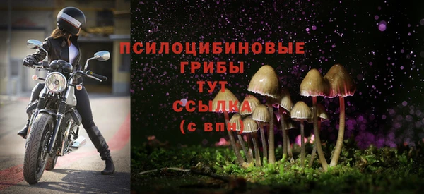 мескалин Аркадак