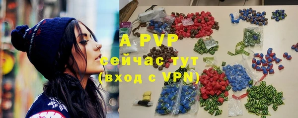 стафф Арсеньев